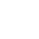 东北操逼